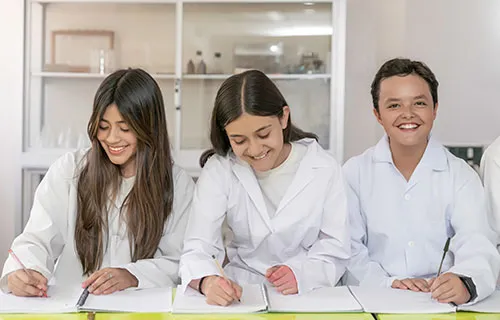 Responsabilidad Social y ambiental Colegio Séneca